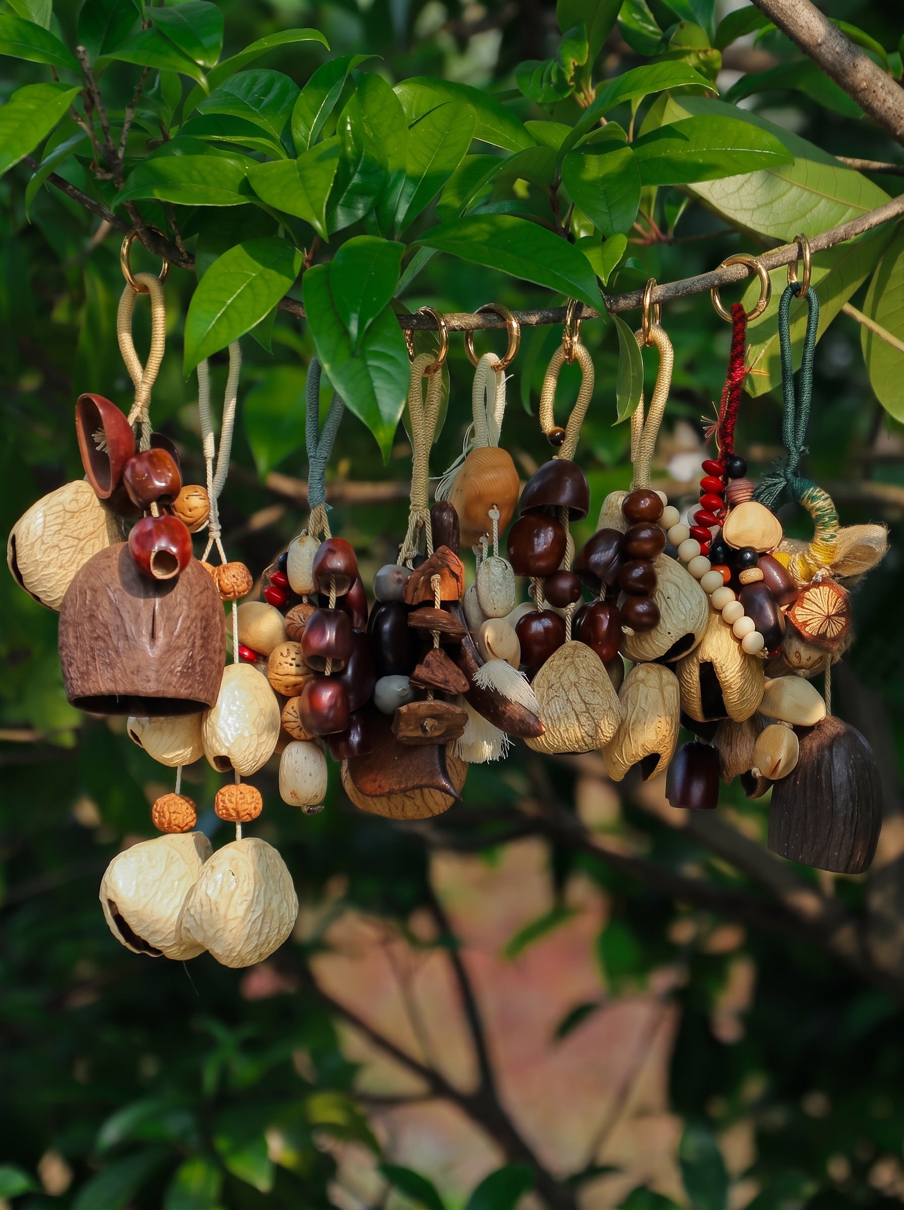 Natural Nut  Fruit Shell Rattle Shaker